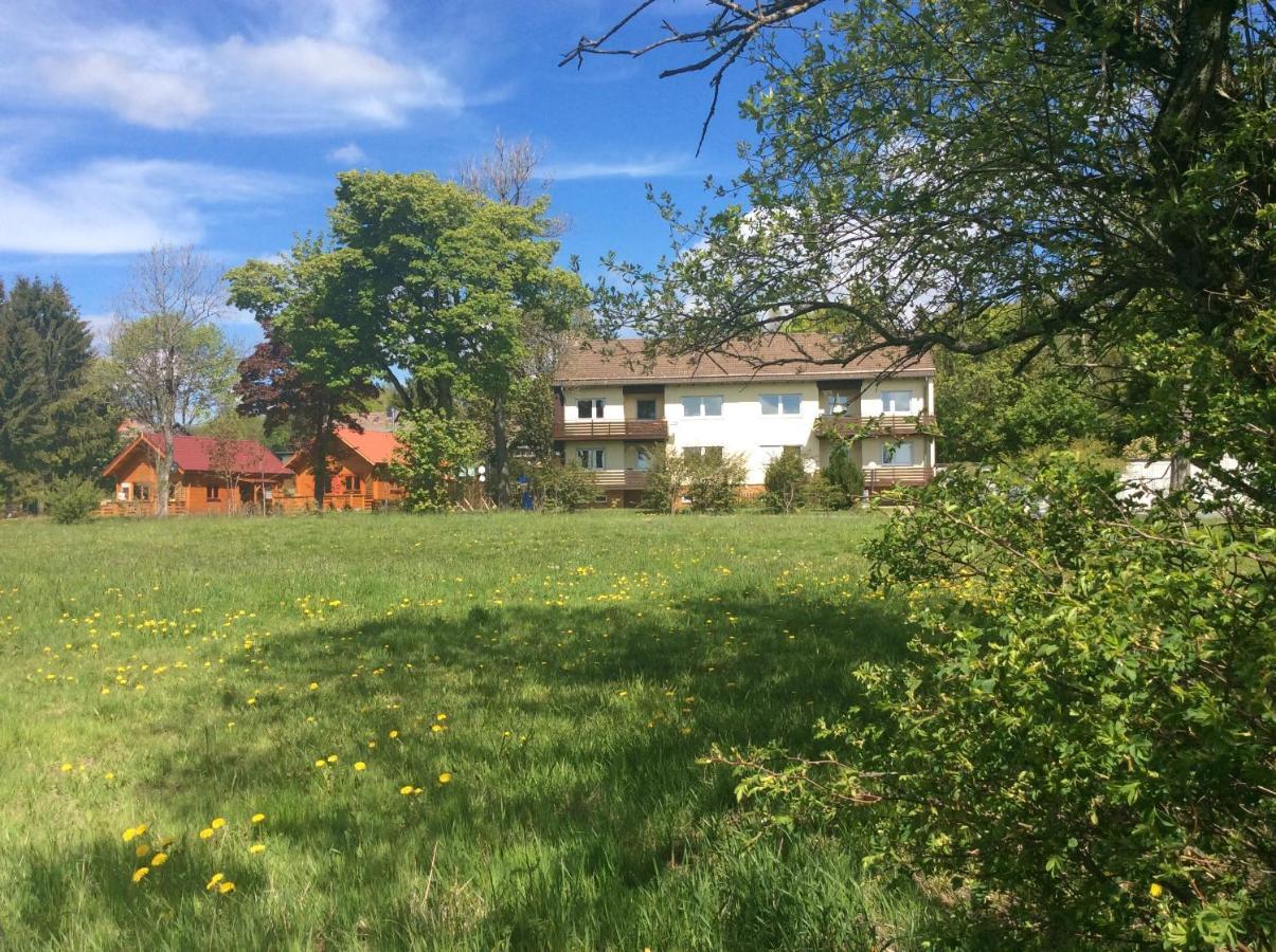 Blockhaeuser Fewo3 Harzblick
